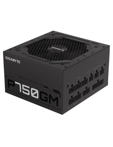 GIGABYTE GP-P750GM GP-P750GM 750W ATX 80+ Gold Güç Kaynağı