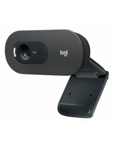 LOGITECH 960-001364 C505 HD Webcam Siyah