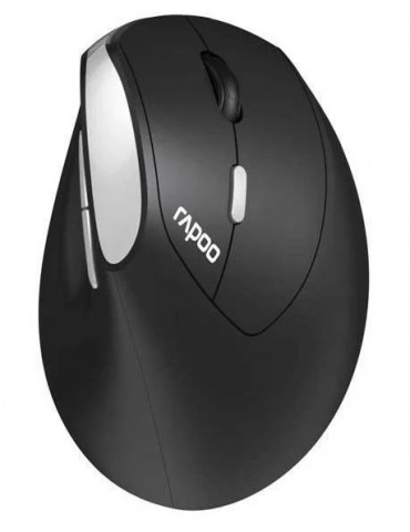 RAPOO 13531 MOU EV250 Siyah Kablosuz Ergonomik 1300DPI Mouse