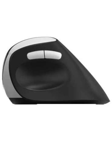 RAPOO 13531 MOU EV250 Siyah Kablosuz Ergonomik 1300DPI Mouse